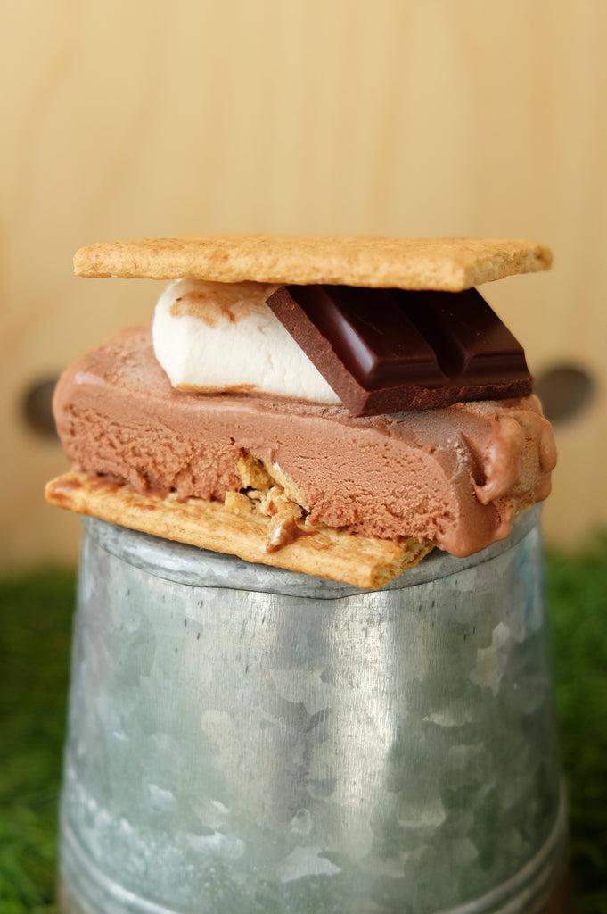Try This At Home: S'mores Ice Cream Sandwich