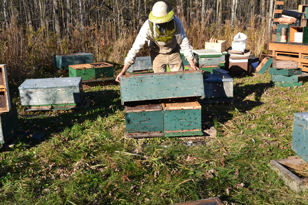 Supplier Series: Nith Valley Apiaries