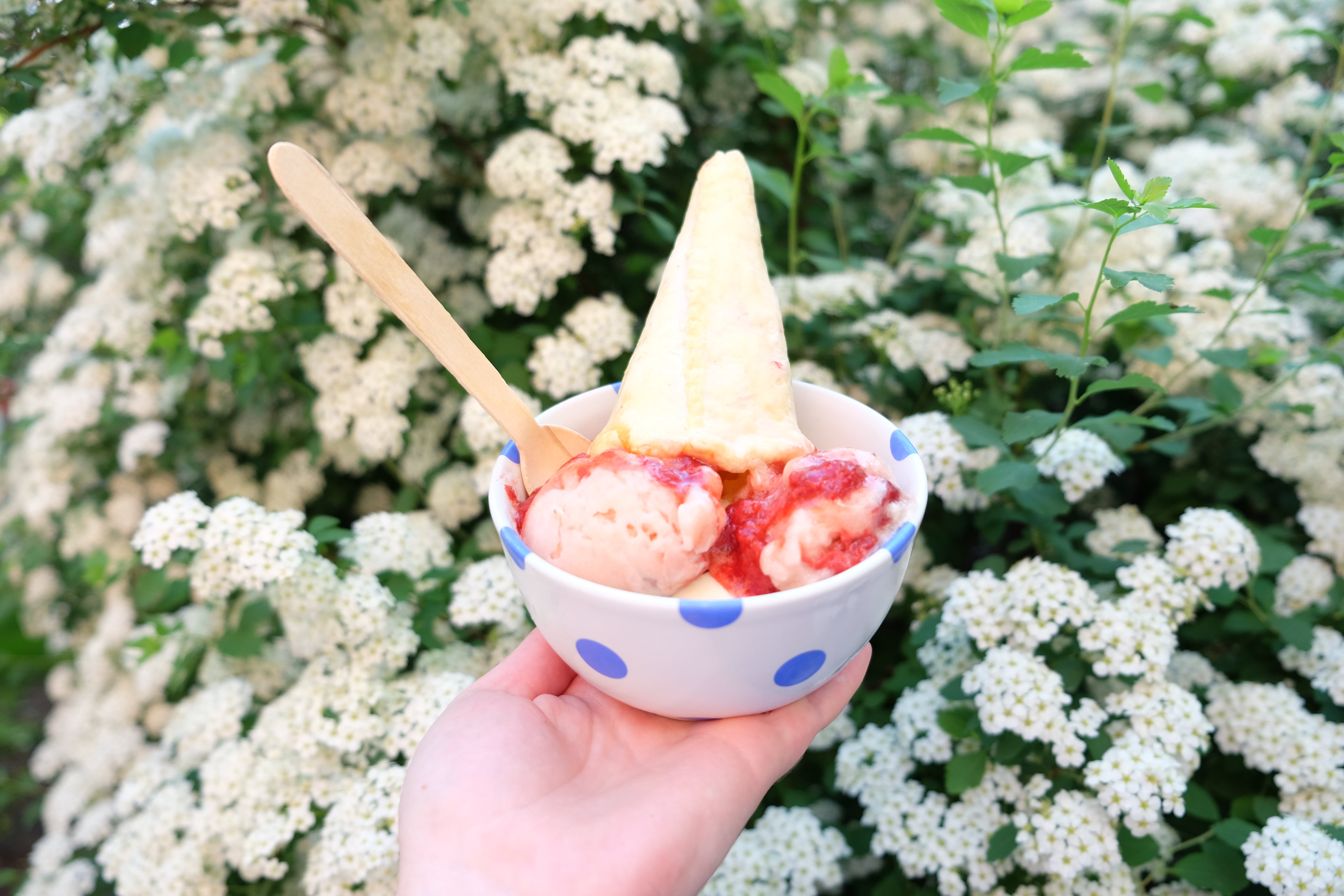 Try This At Home: Strawberry Rhubarb Pie Sundae!