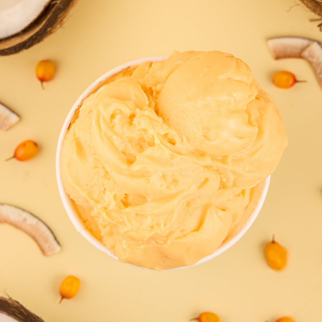 Sea Buckthorn Sherbert